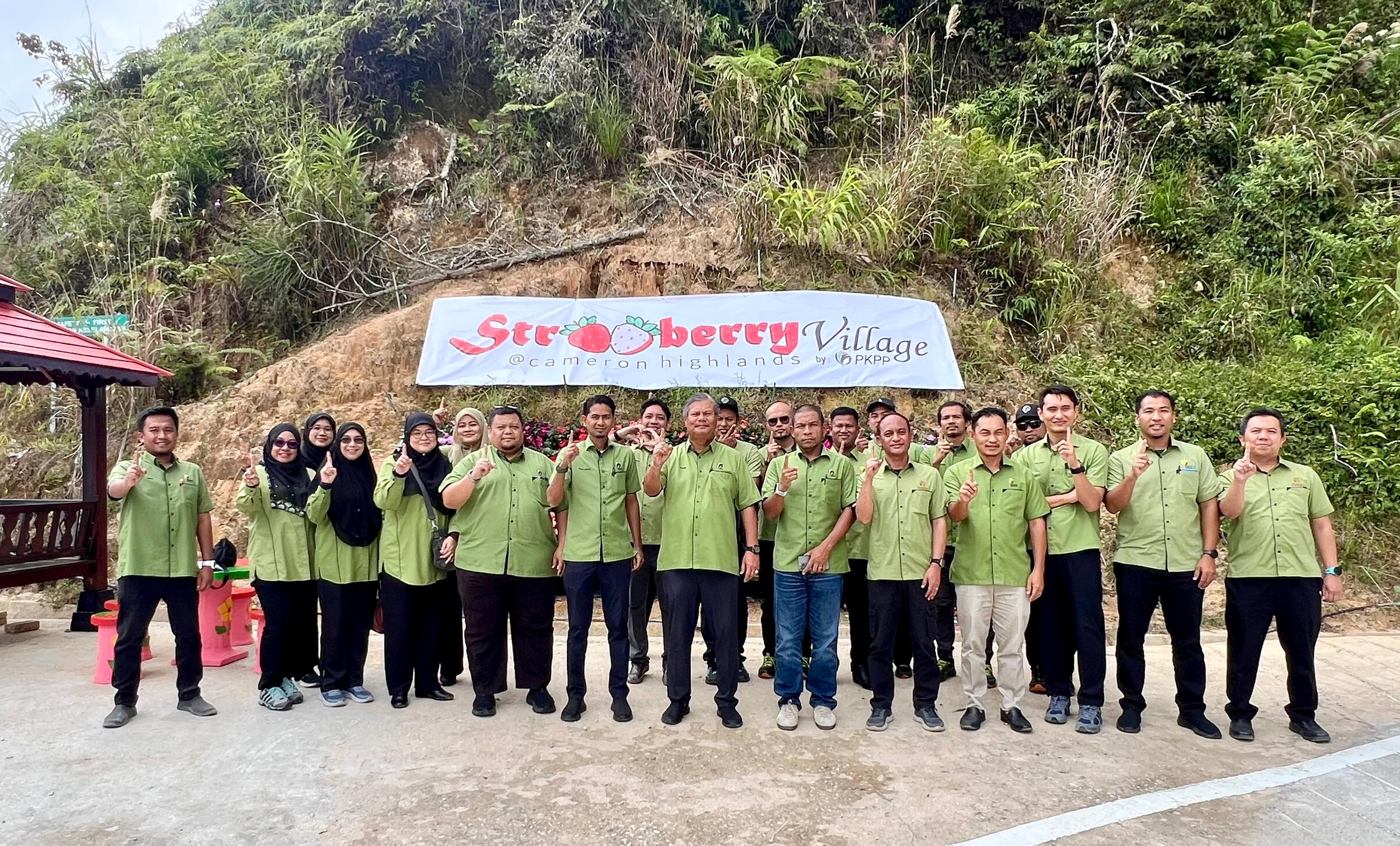 Lawatan Kerja Pengurusan Tertinggi PKPP Ke Projek PKPP Strawberry Village (PSV) Cameron Highlands Pahang