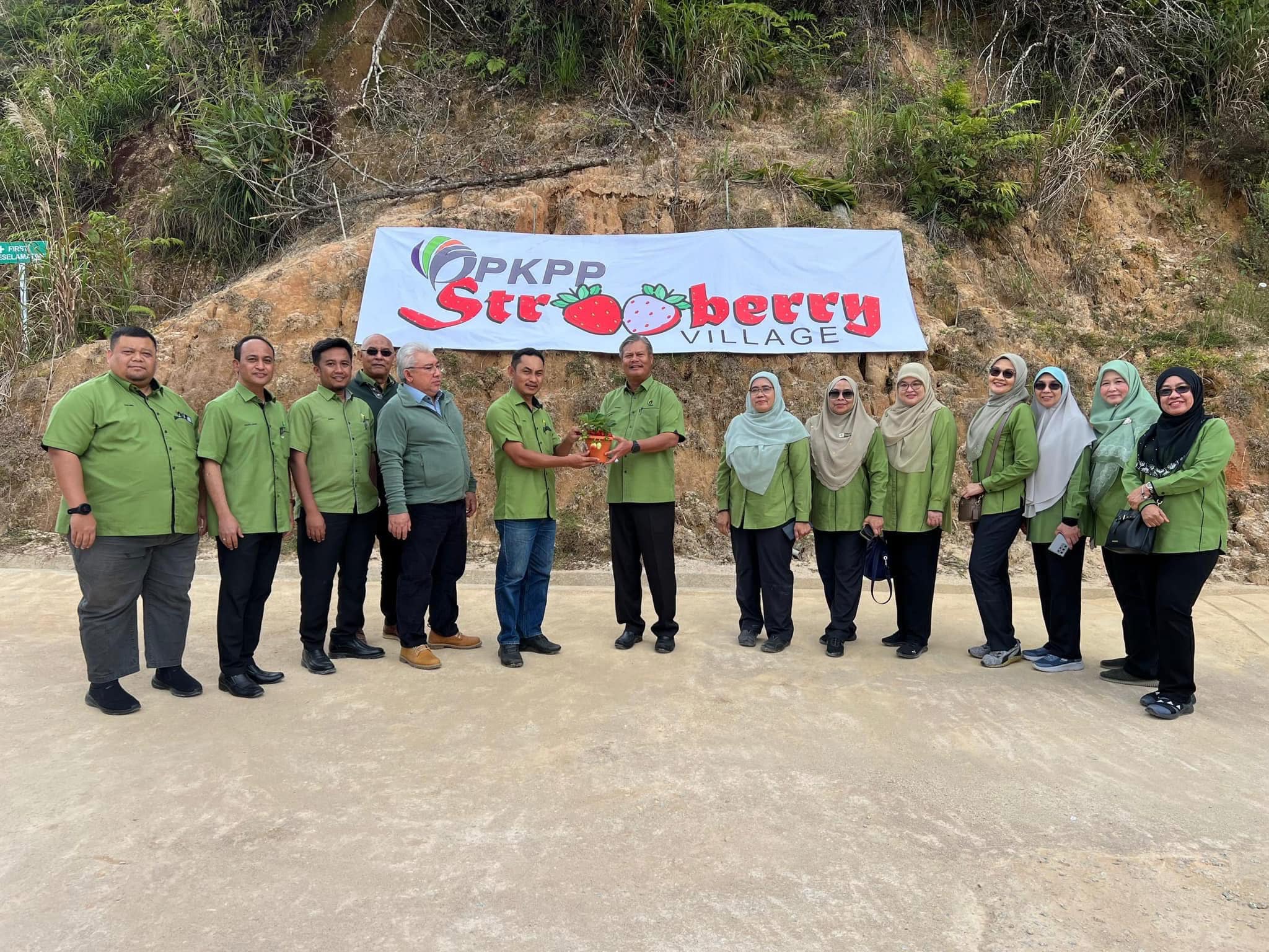Lawatan Pengurusan Kanan ke PKPP Strawberry Village (PSV), Cameron Highlands